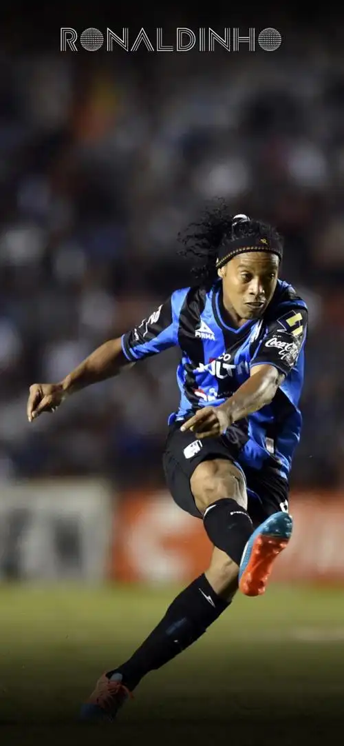 更加专注的 更加专注的