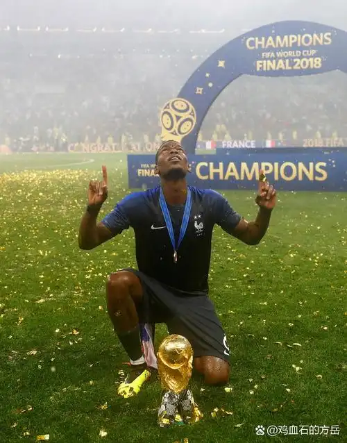 观众在观看 观众在观看